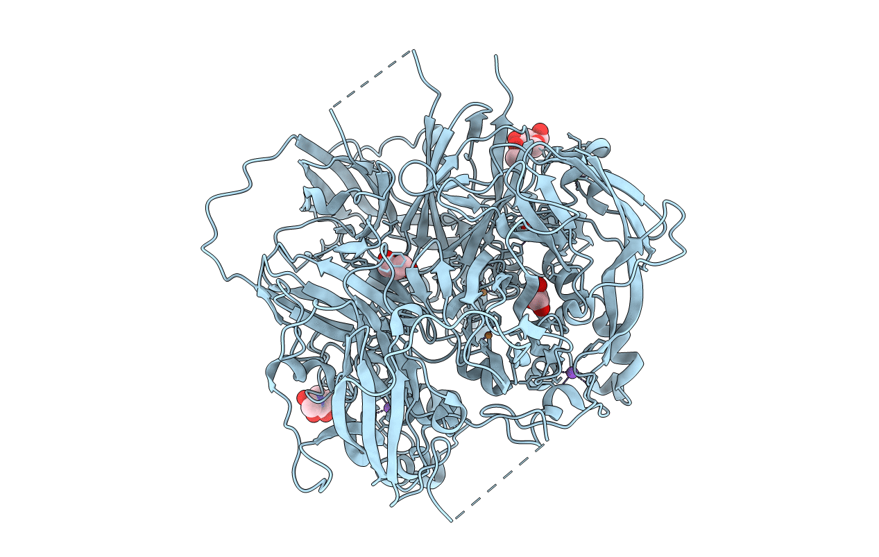 2J5W image