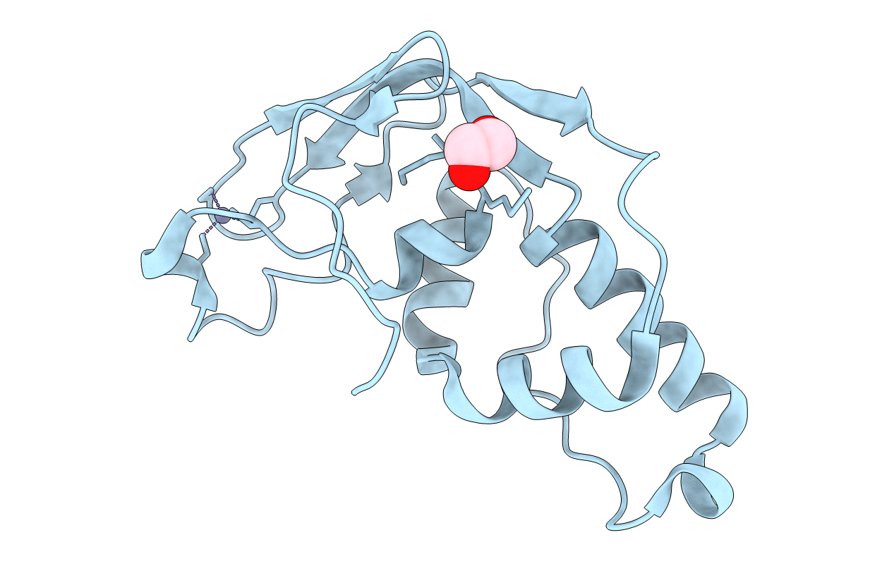 2J6A image