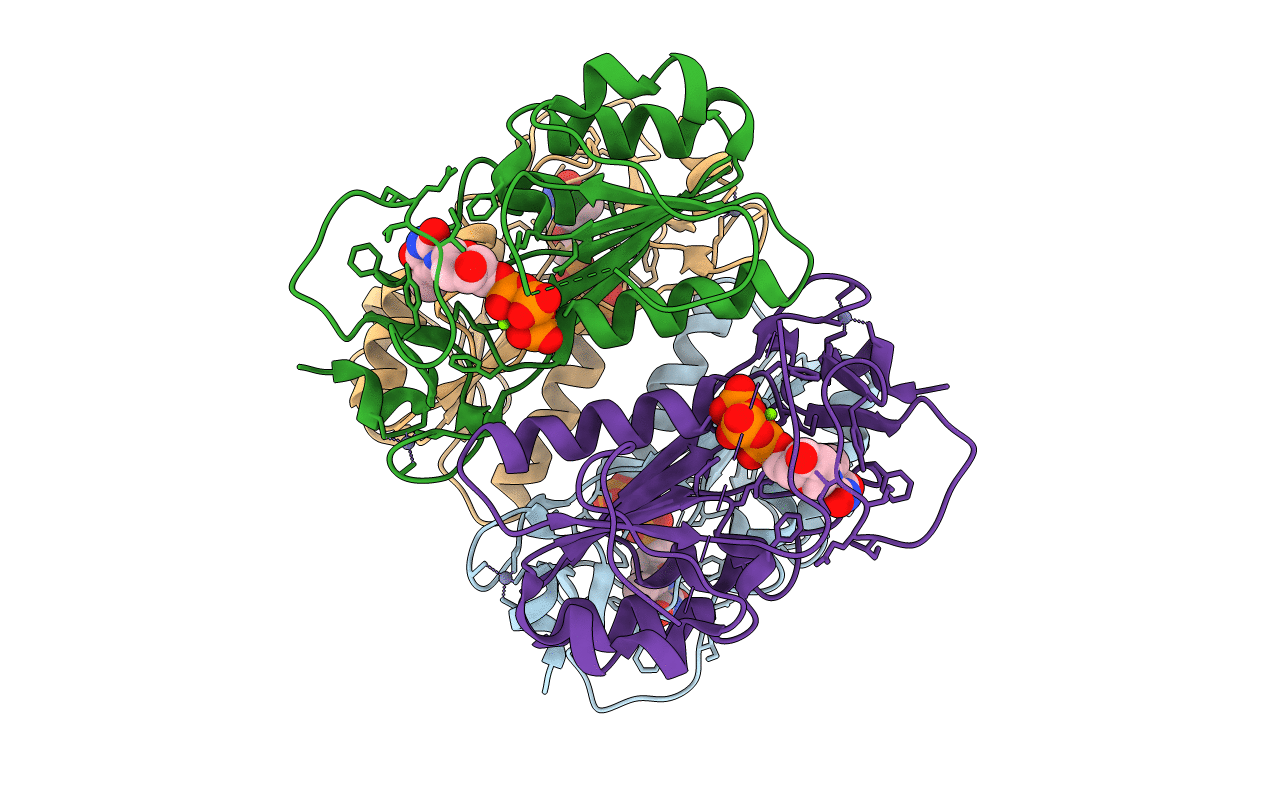2J87 image