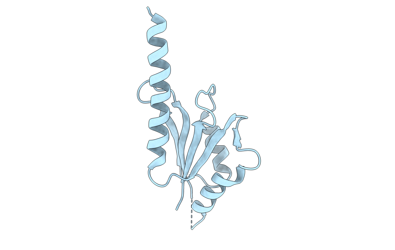 2J8A image