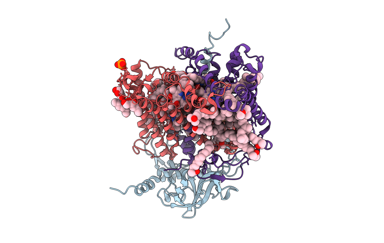 2J8D image