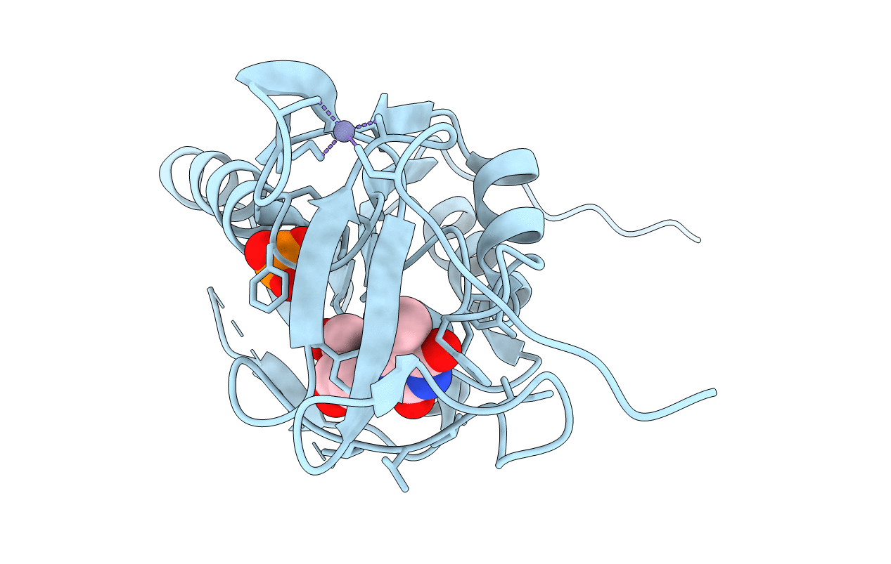 2J9R image