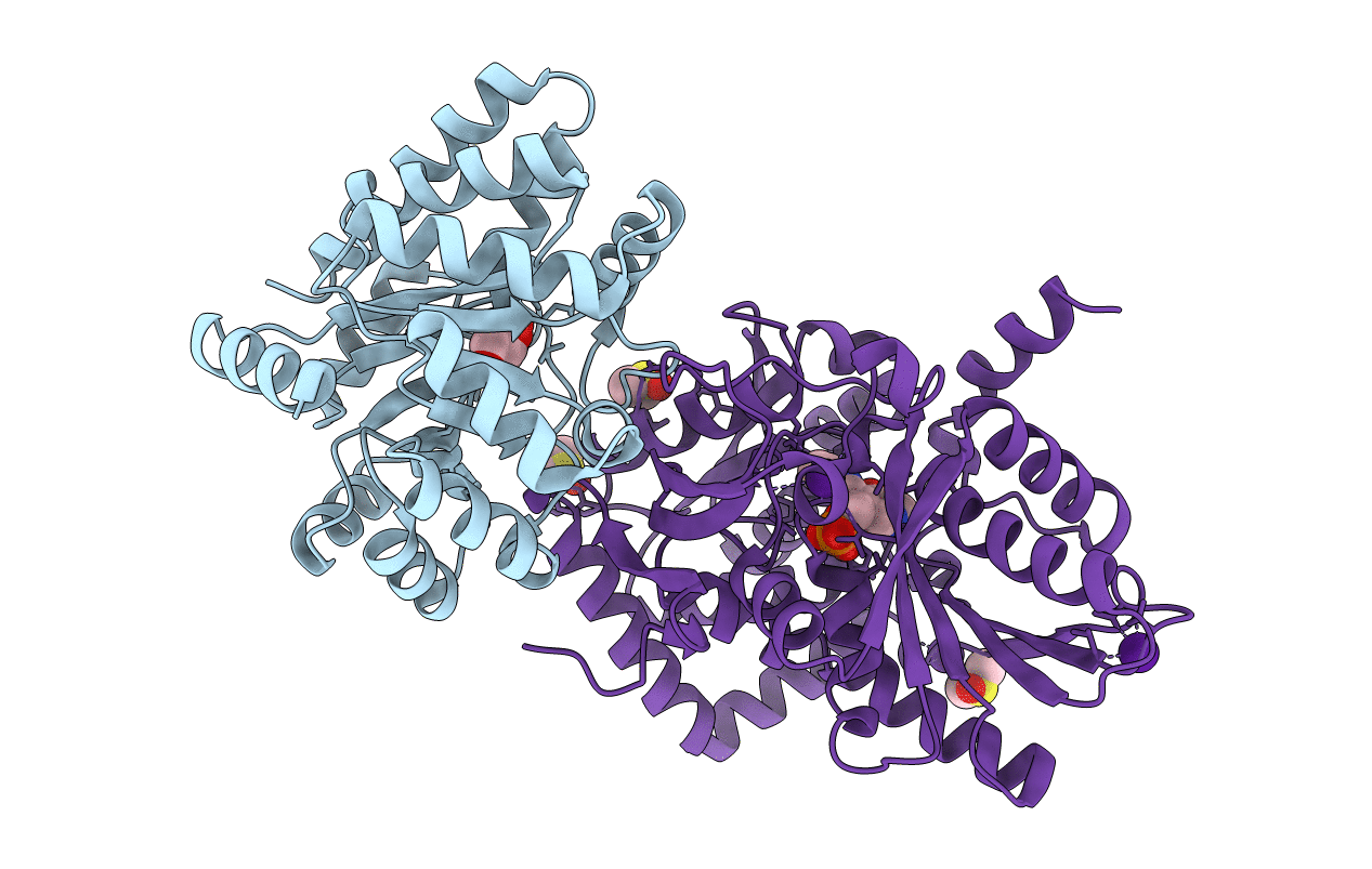 2J9X image