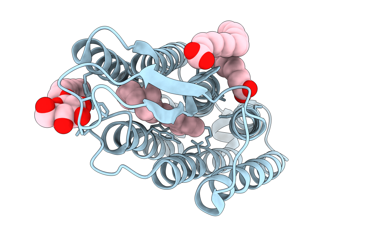 2JAF image