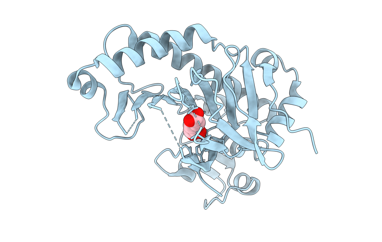 2JB8 image