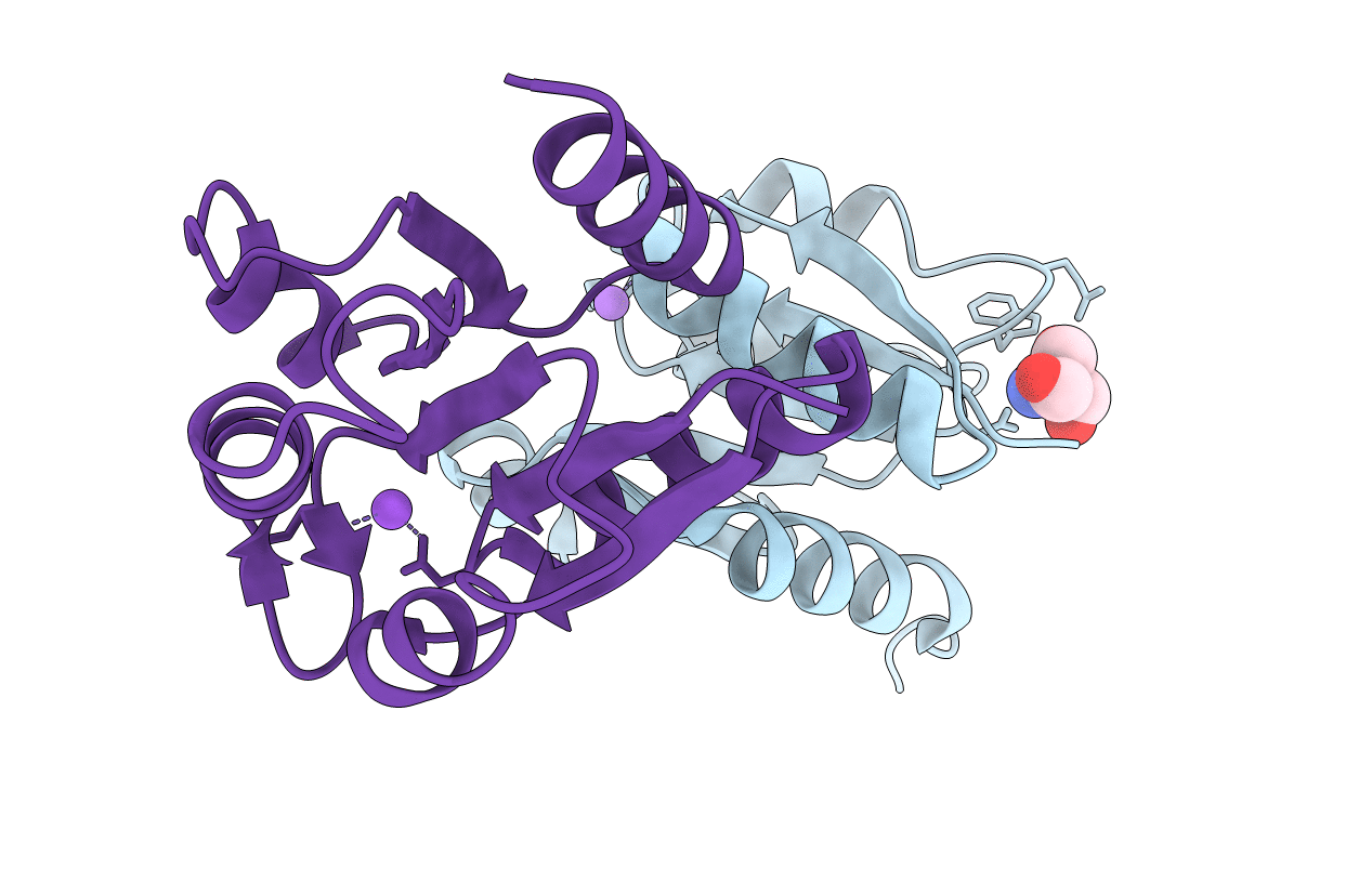 2JBA image