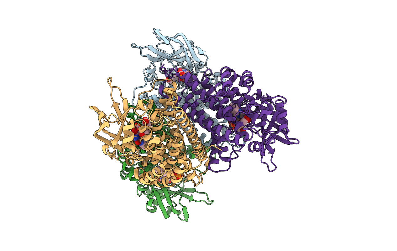2JBT image