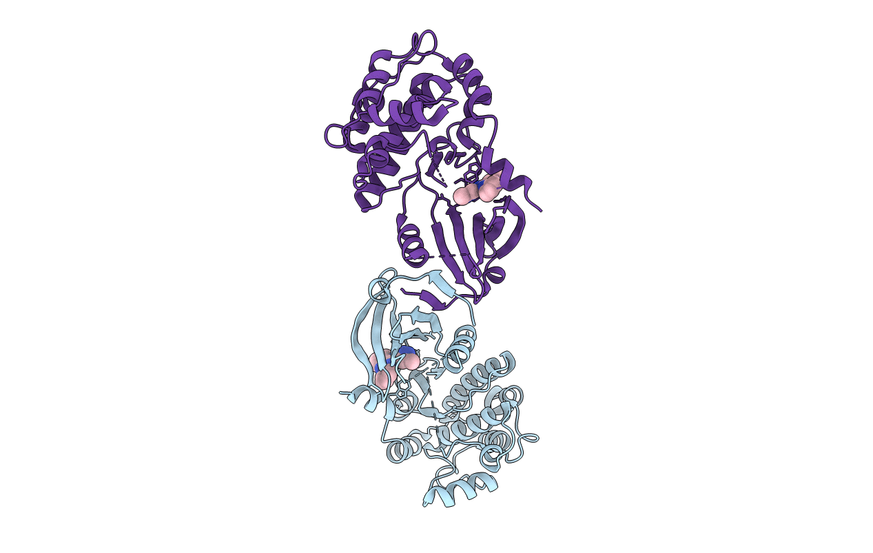2JC6 image