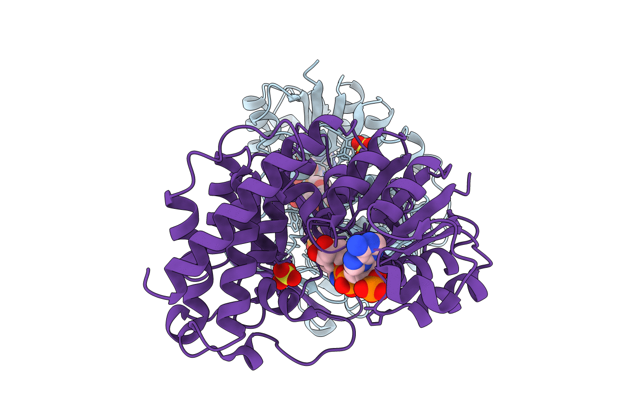2JCV image