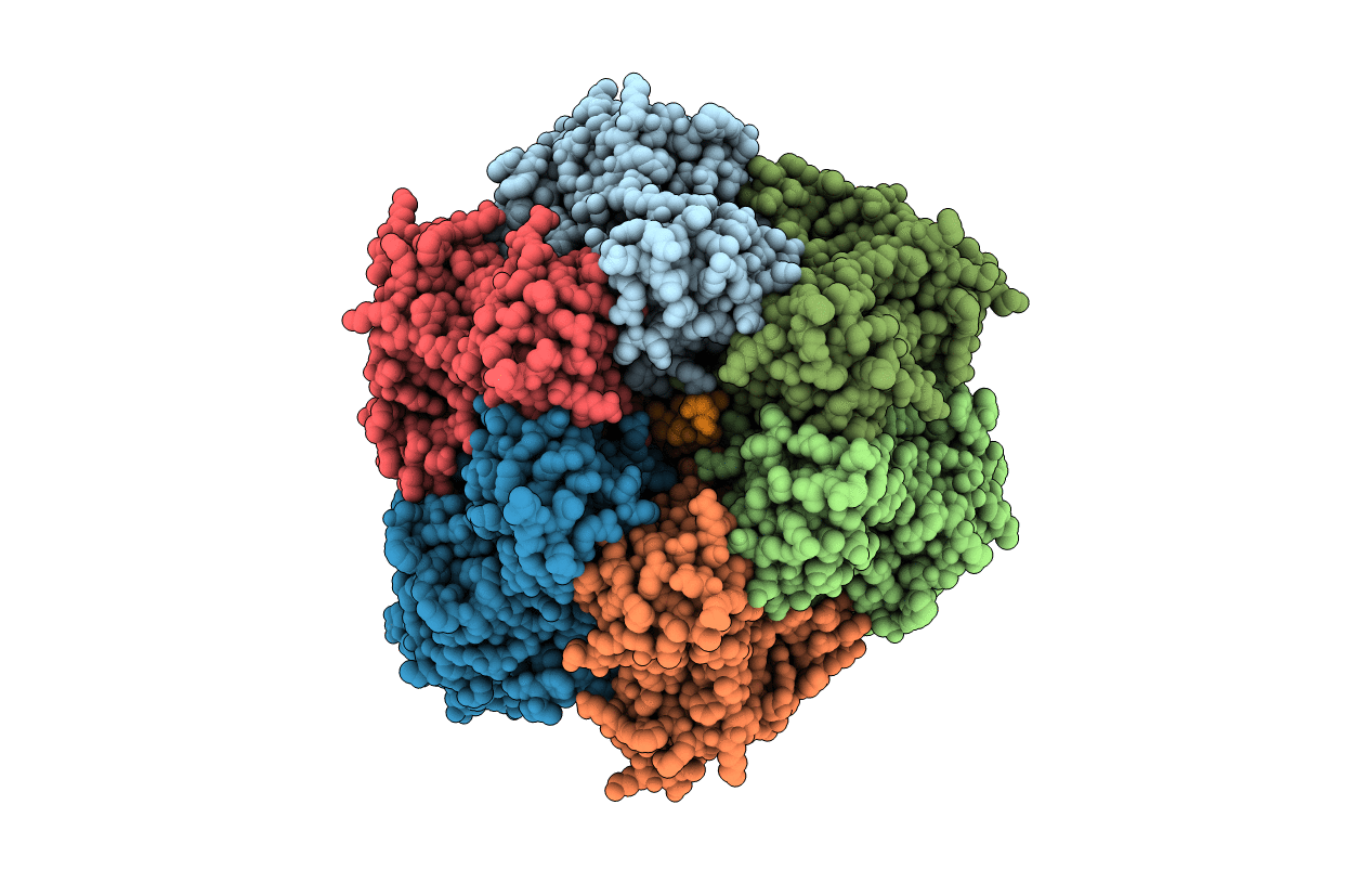 2JDI image
