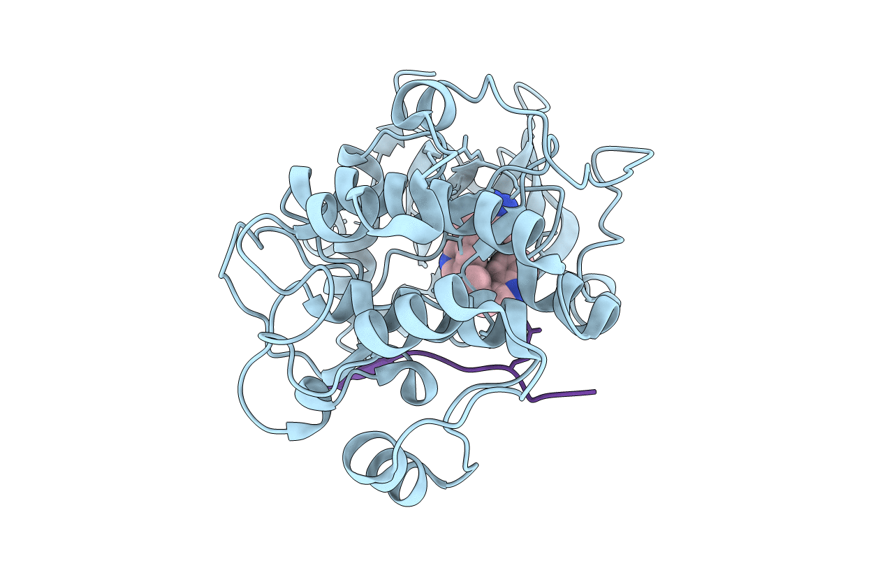 2JDR image