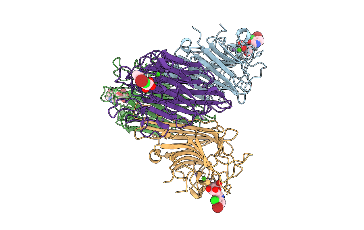2JEC image