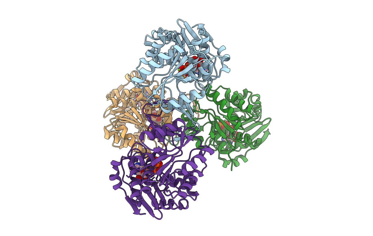 2JG1 image