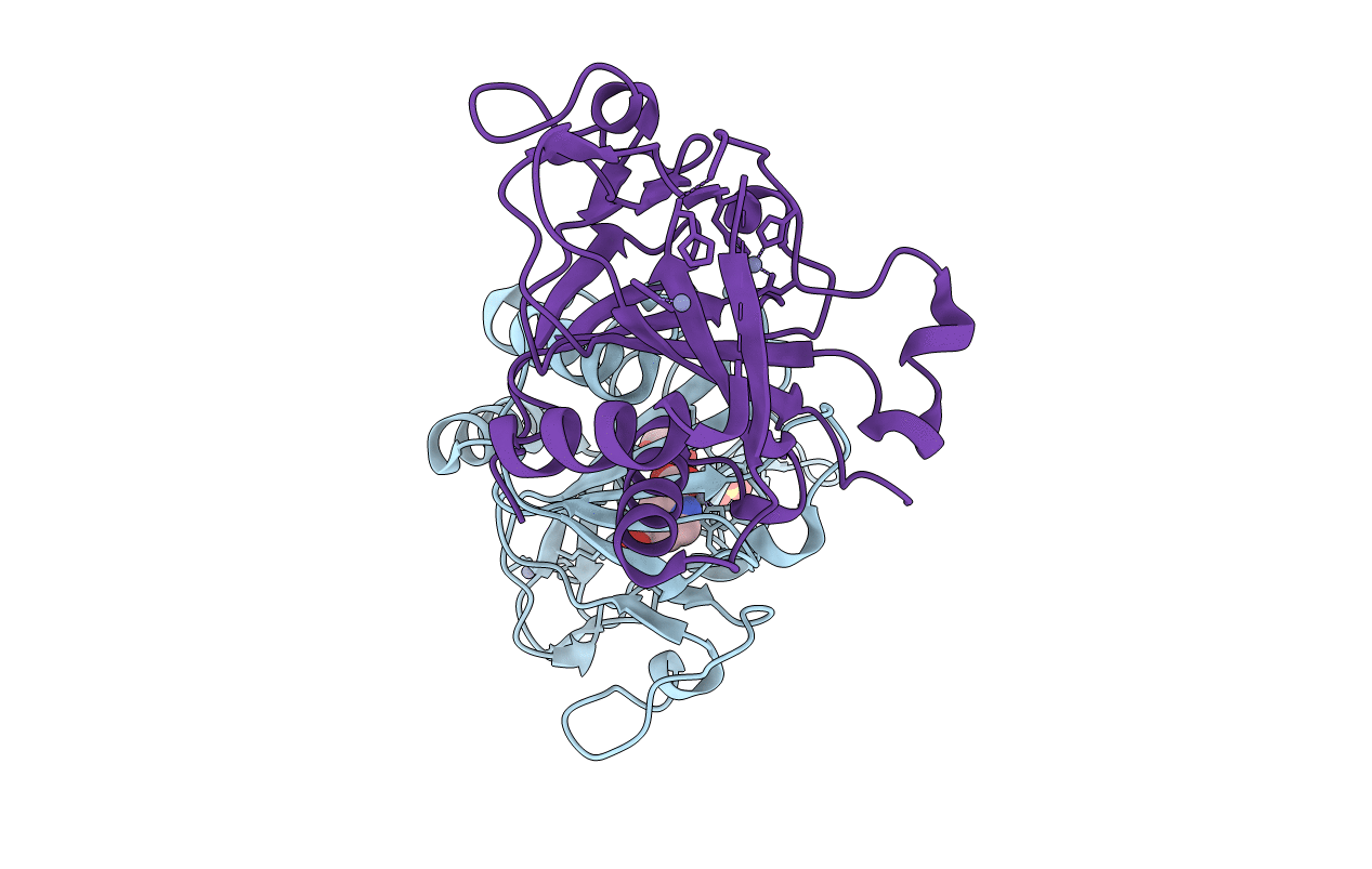 2JIG image
