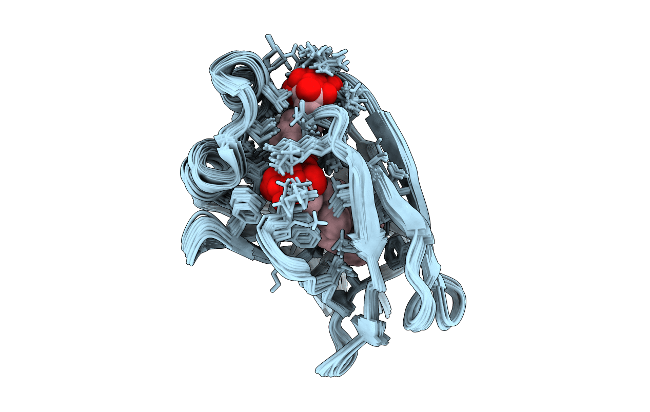 2JN3 image