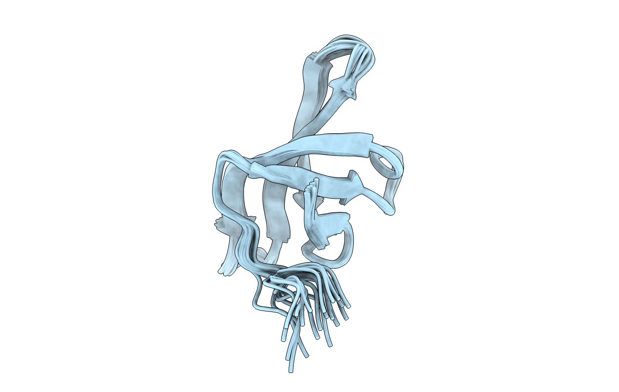 2JVV image