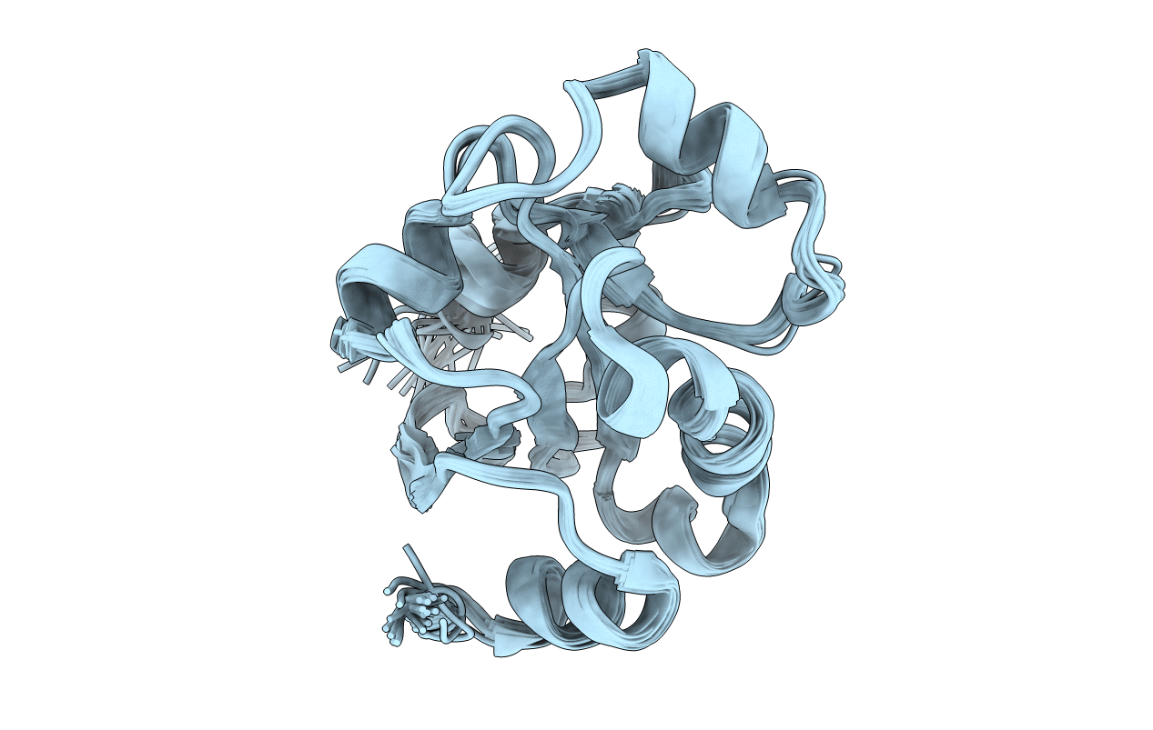 2JZR image