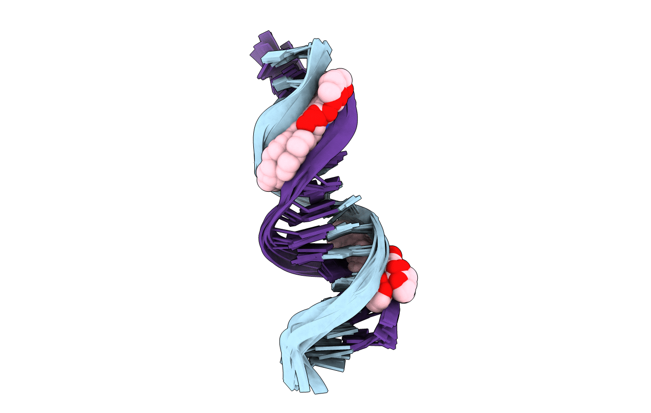 2K4L image
