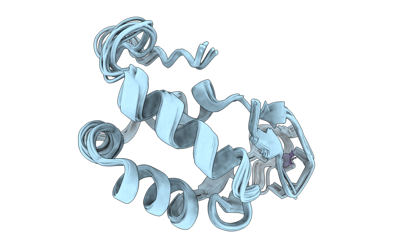 2K5C image