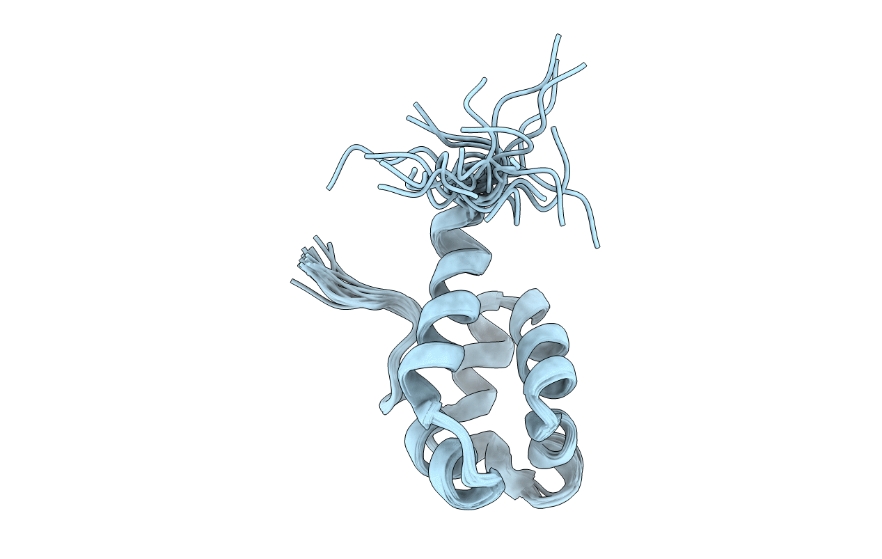 2K5E image