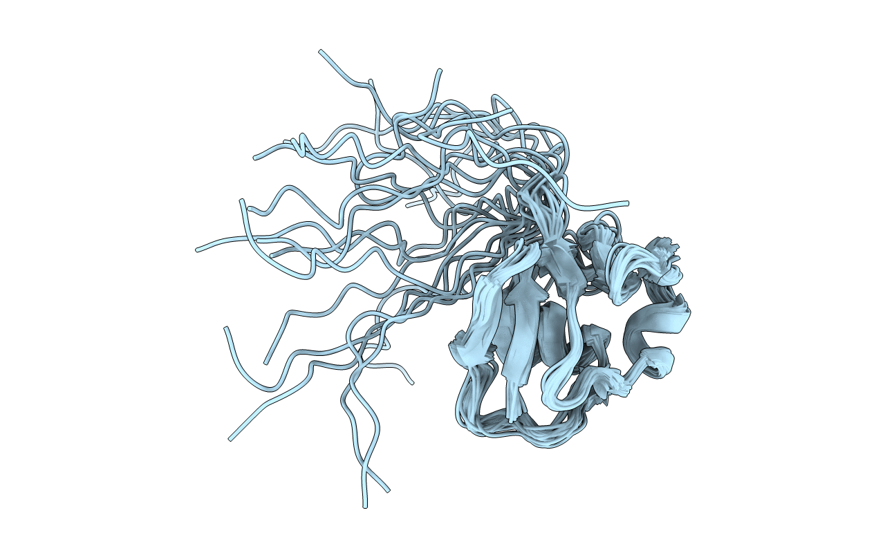 2K5P image