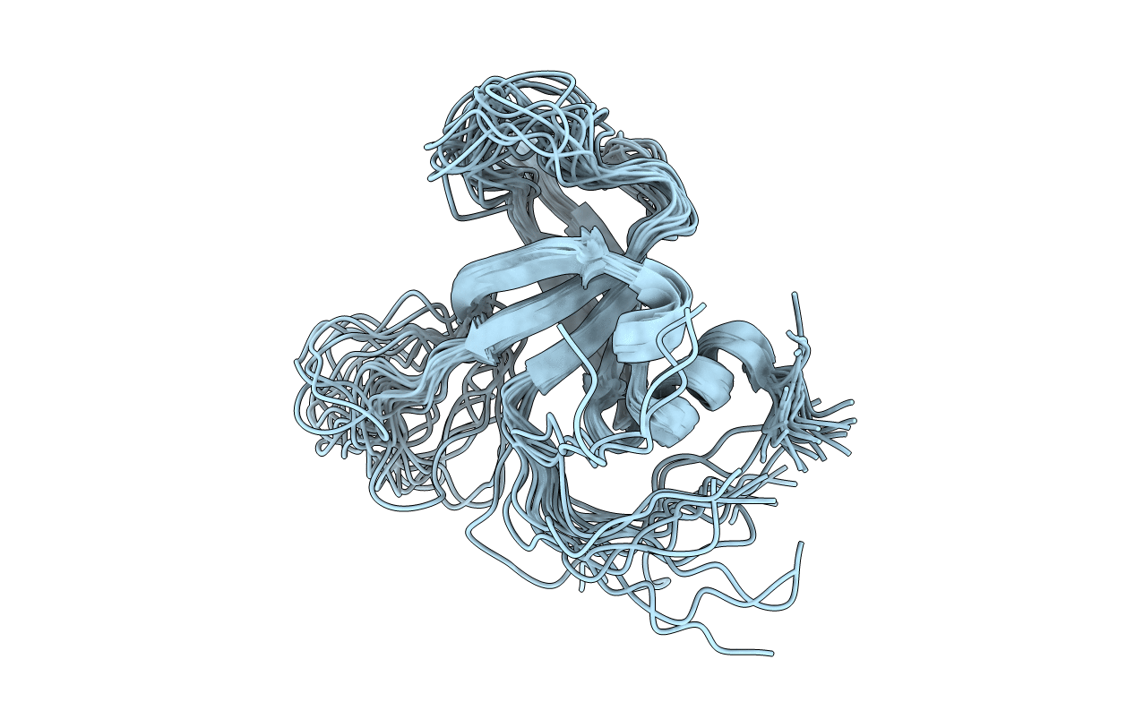 2K5W image