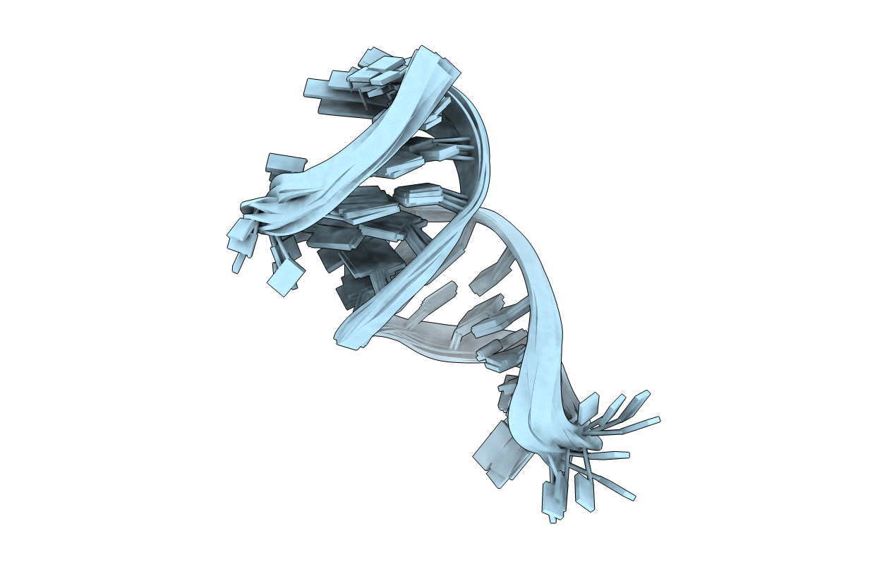 2K5Z image