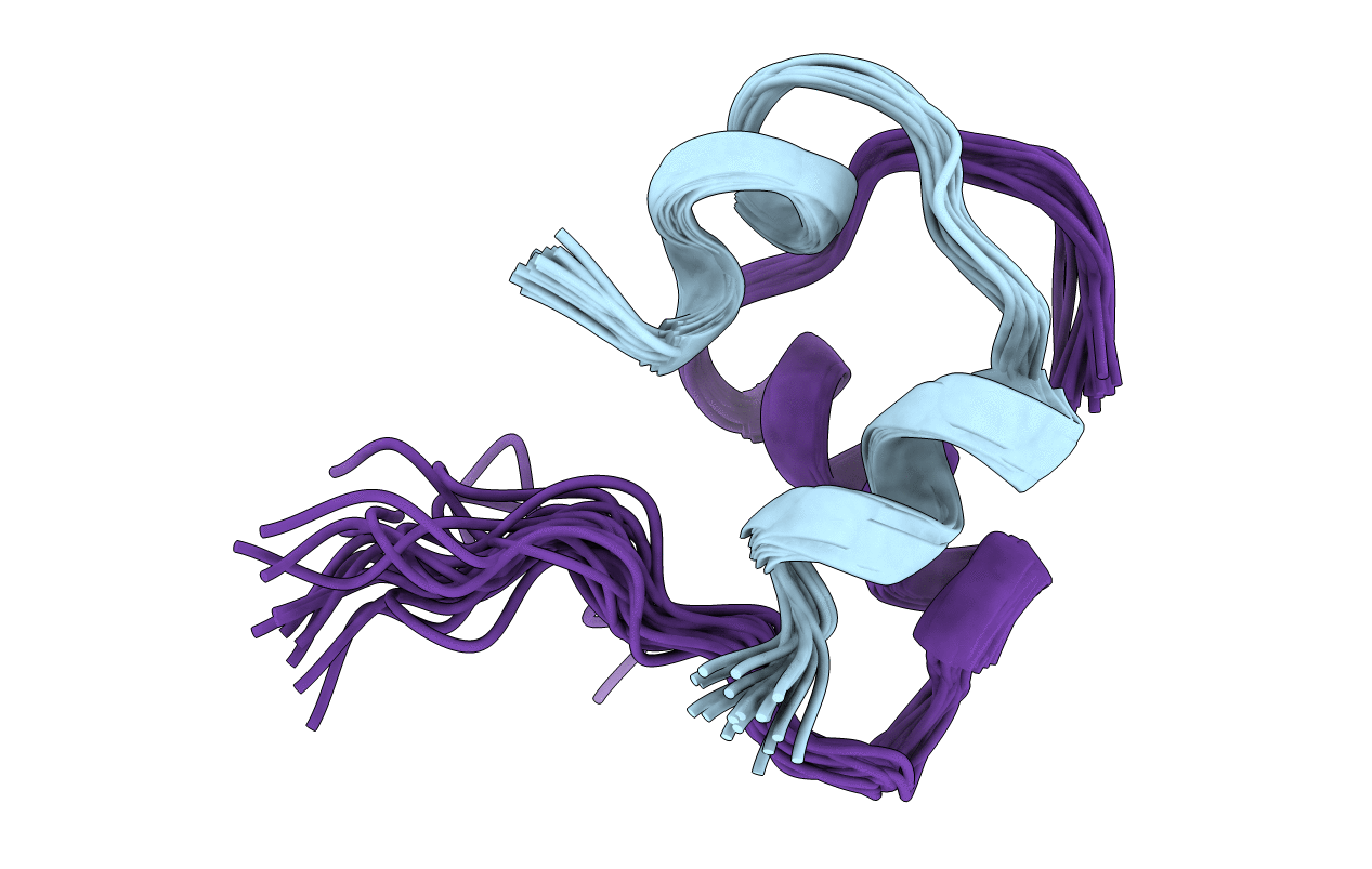 2K91 image