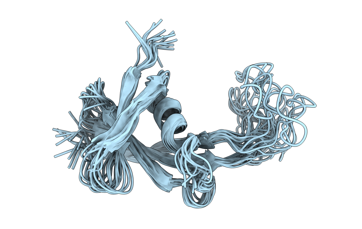 2KHL image