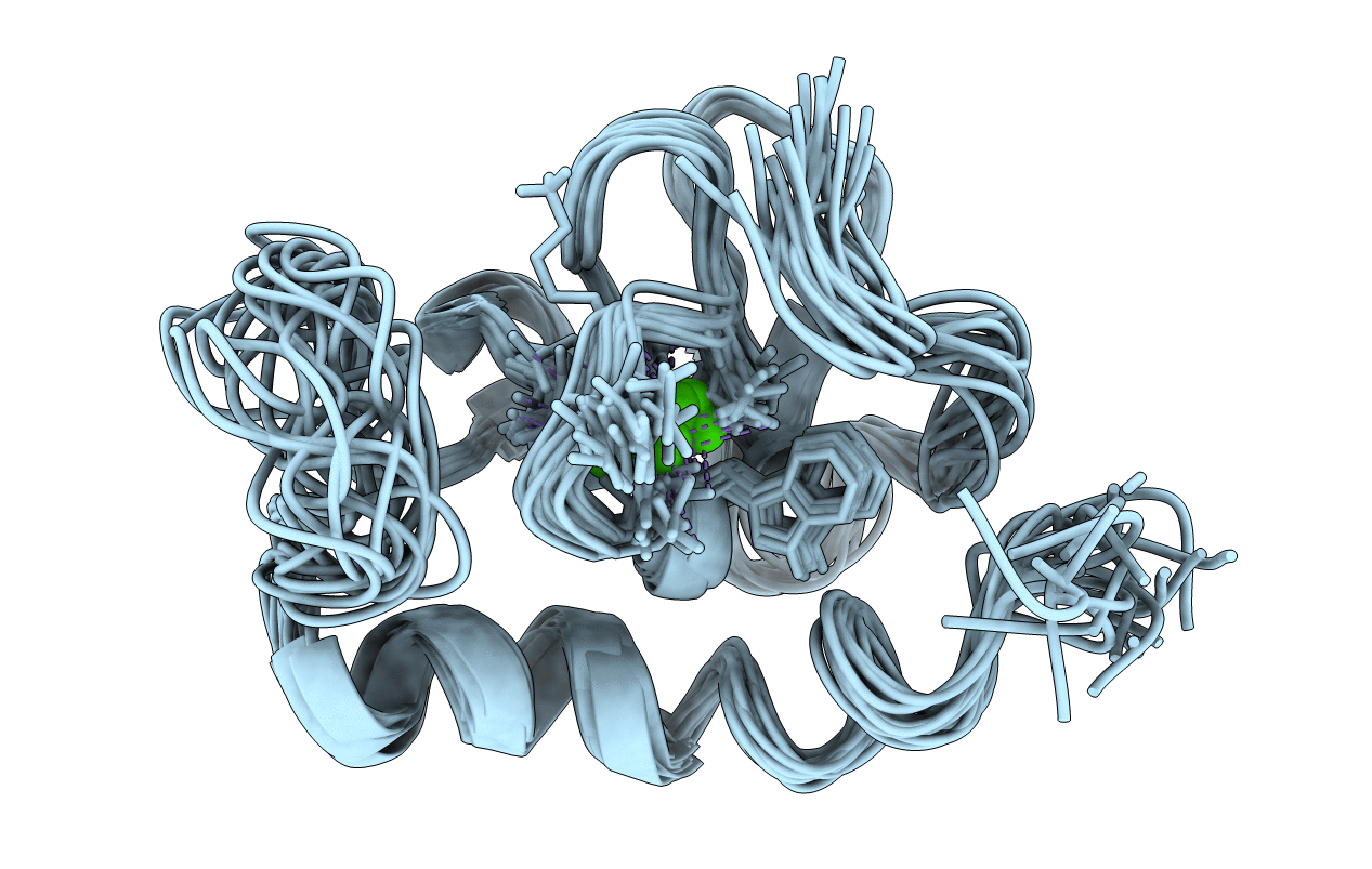 2KNY image