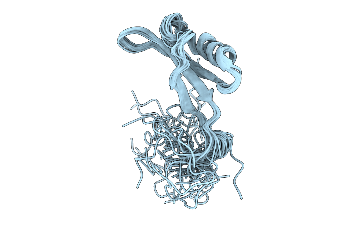 2KSK image