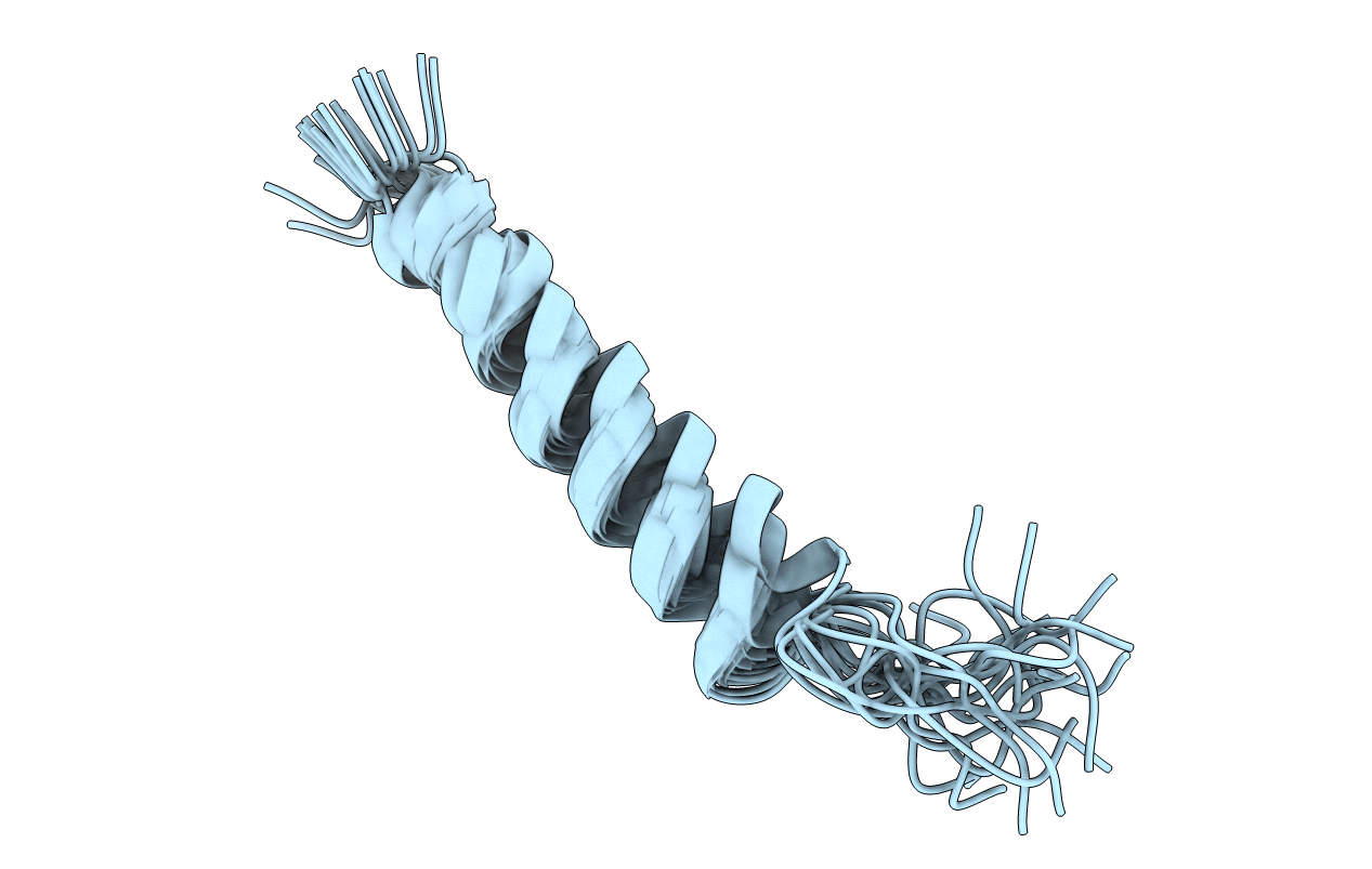 2KV5 image
