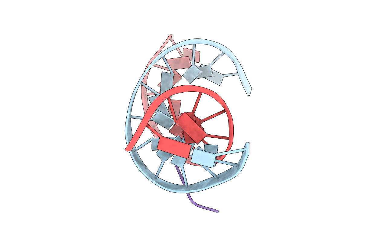 2KV6 image
