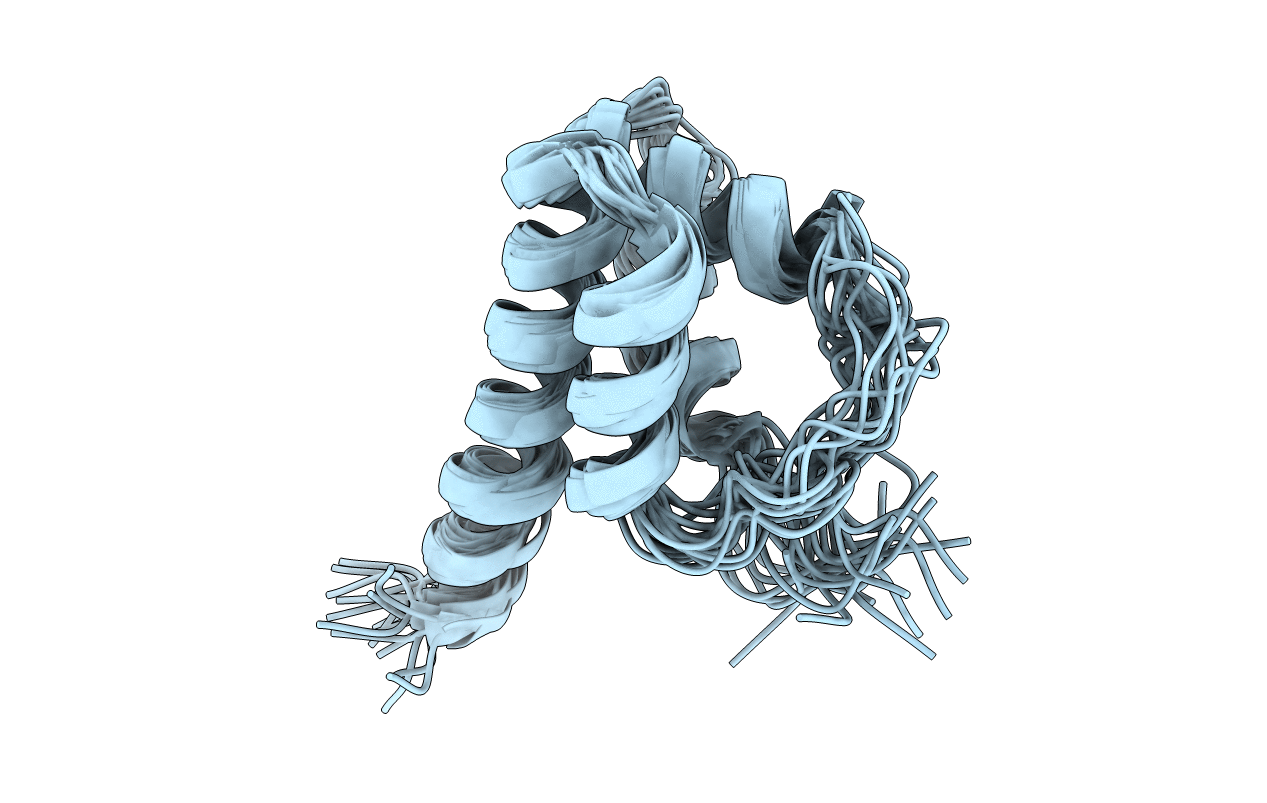 2KVS image