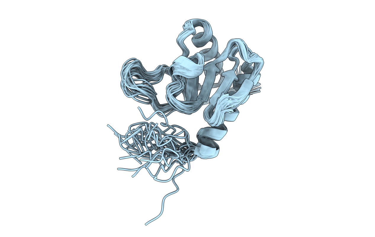 2KX7 image