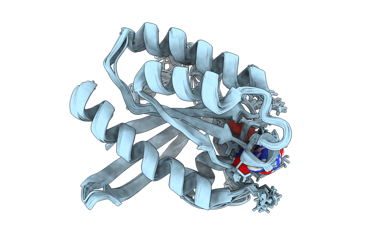 2L0X image