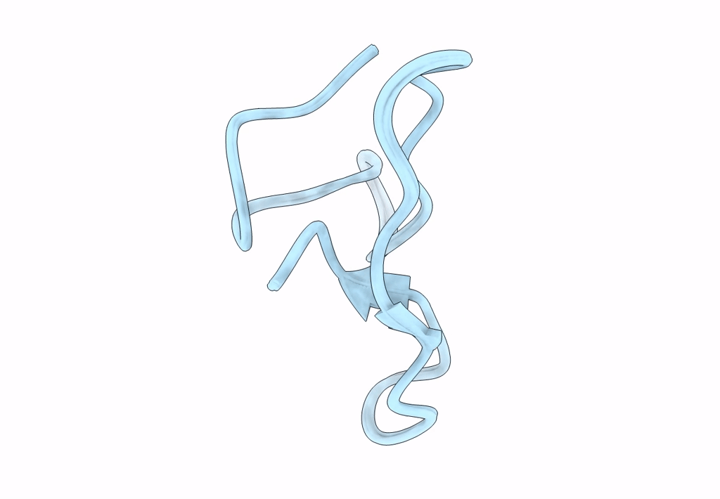 2L1J image
