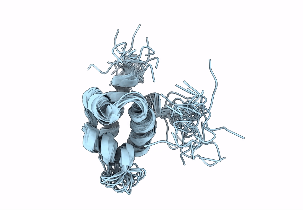 2L1P image