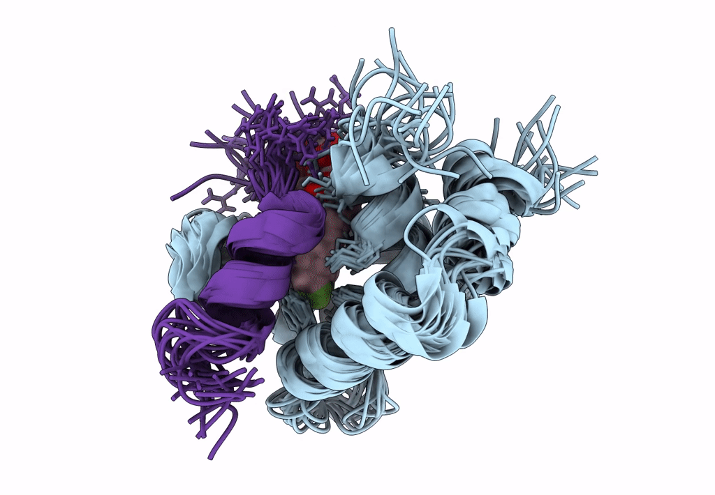 2L1R image