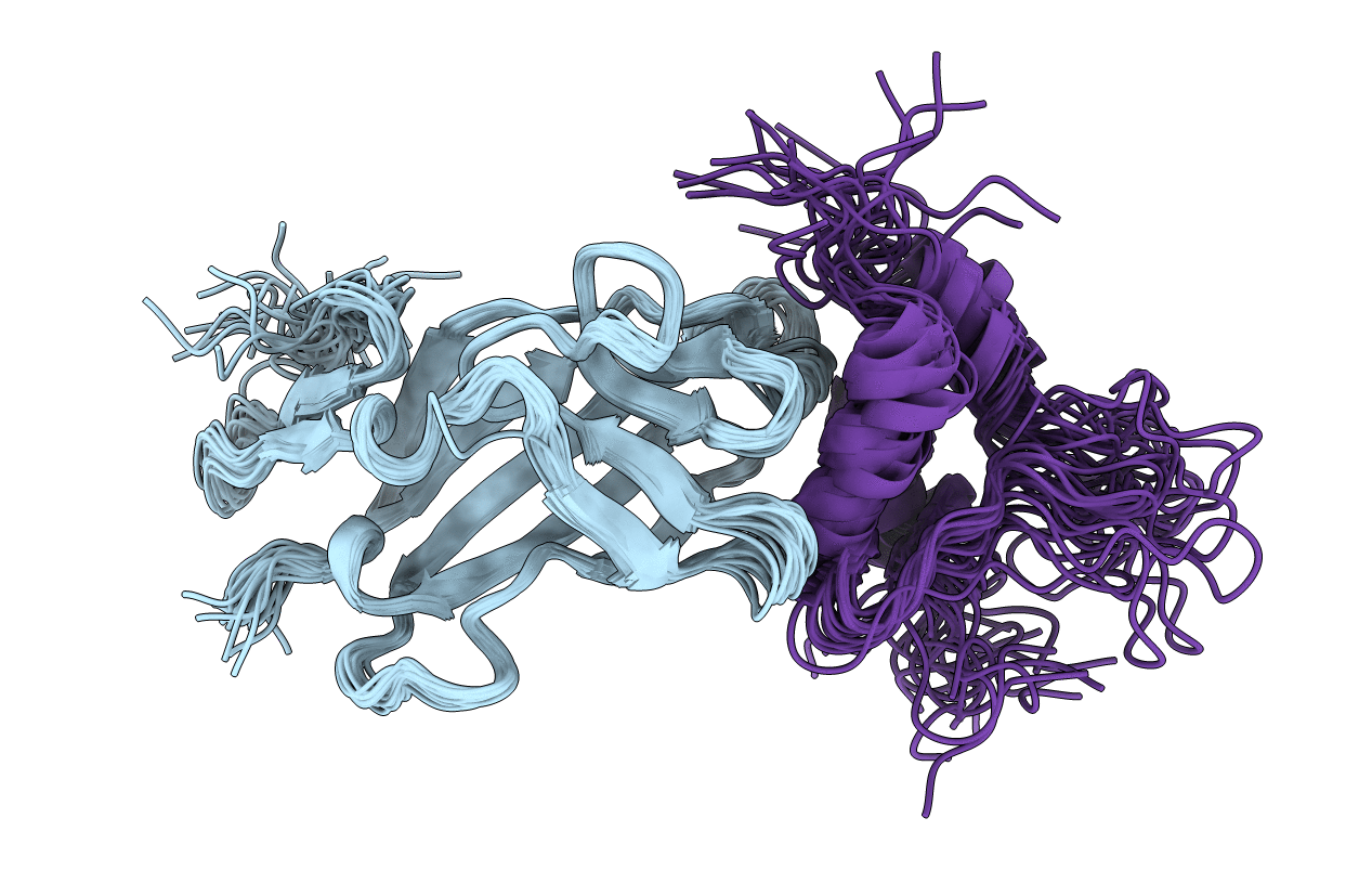 2L29 image