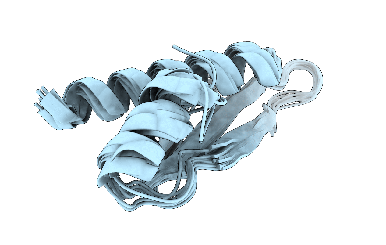 2L2N image
