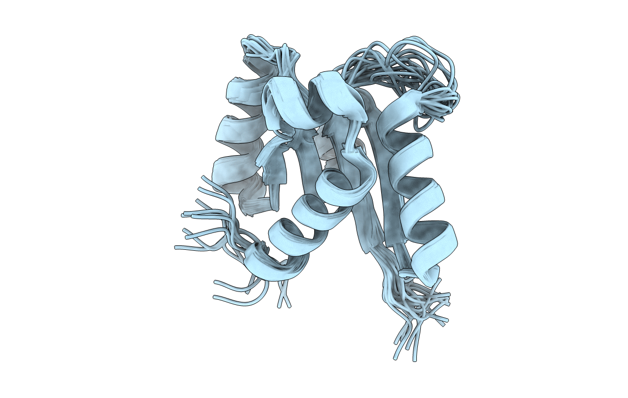 2L2Q image