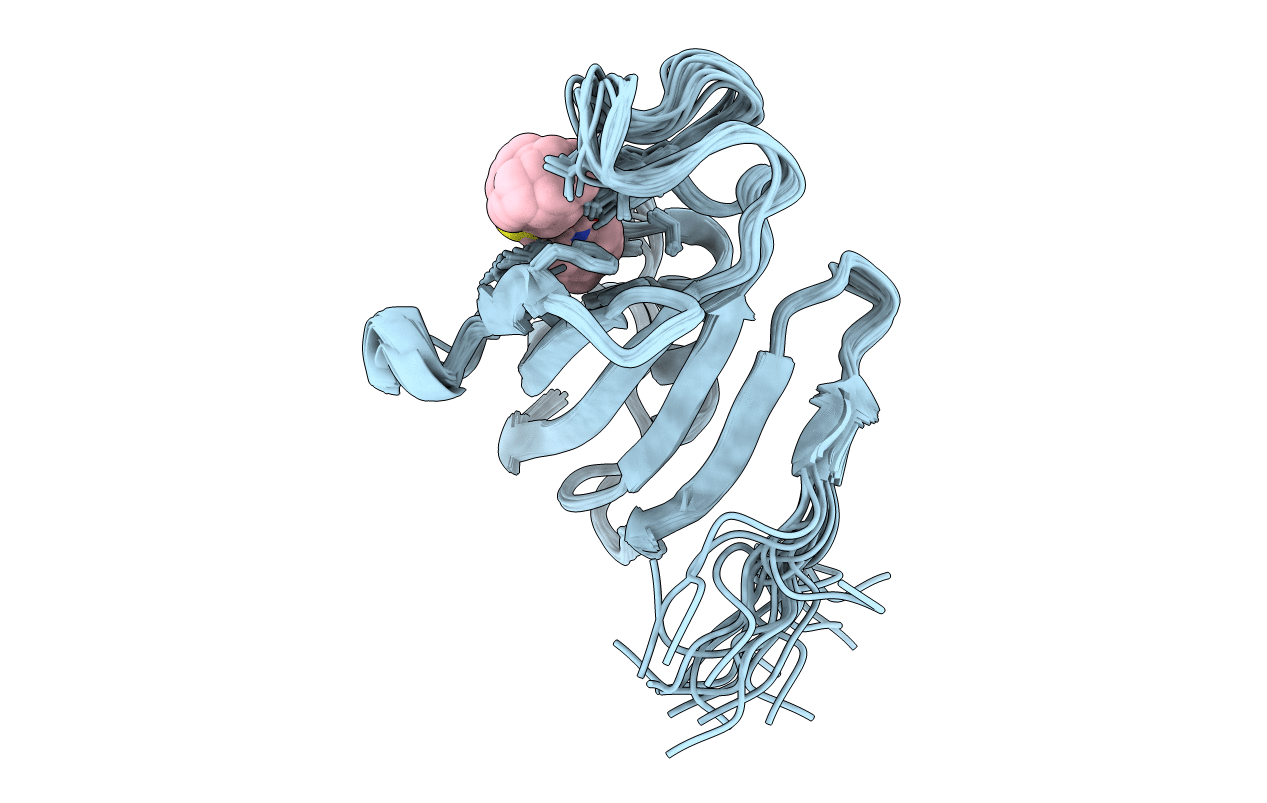 2L2S image