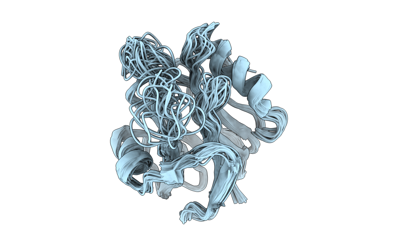 2L38 image