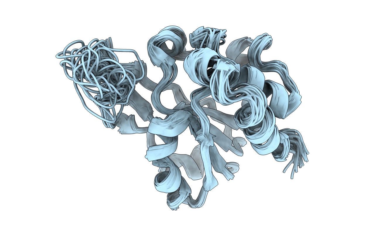 2L3F image