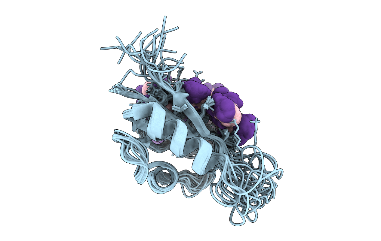 2L41 image
