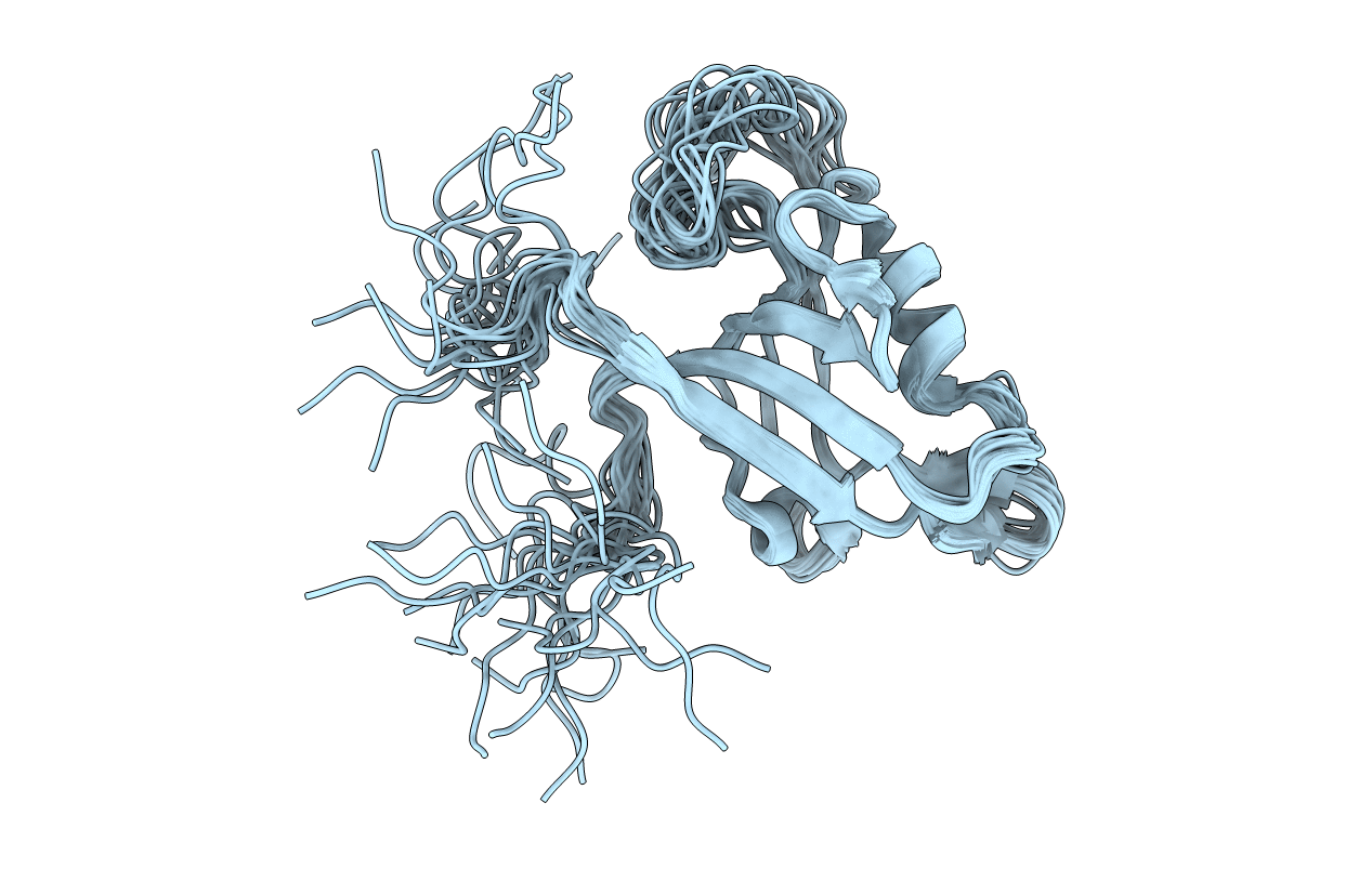 2L4S image