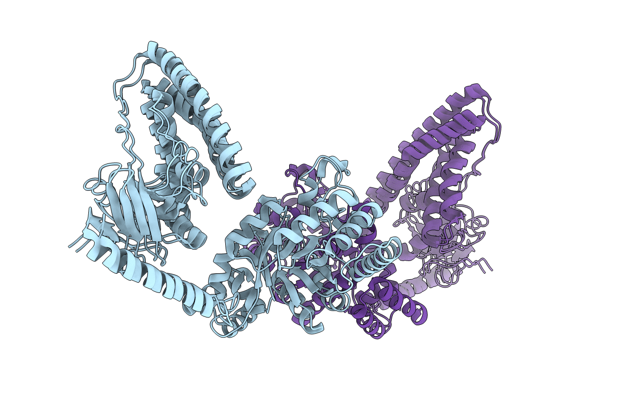 2L5H image