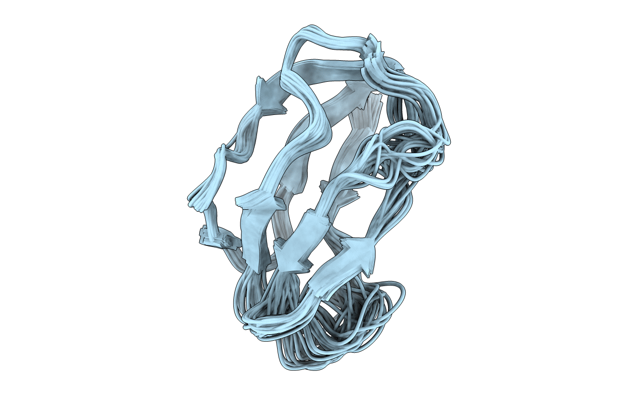 2L5T image
