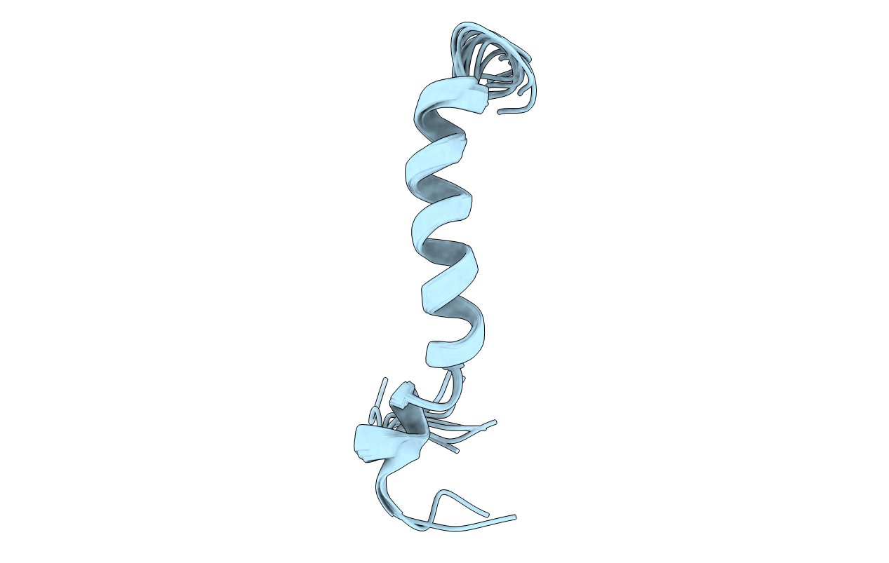 2L63 image